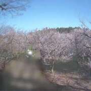 ヒメ日記 2025/03/18 10:15 投稿 ほのか 成田人妻最高級倶楽部