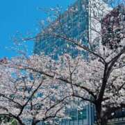 ヒメ日記 2025/04/05 09:15 投稿 ほのか 成田人妻最高級倶楽部