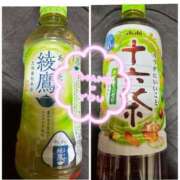 ヒメ日記 2025/04/06 14:15 投稿 ほのか 成田人妻最高級倶楽部