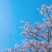 ヒメ日記 2025/04/08 09:15 投稿 ほのか 成田人妻最高級倶楽部