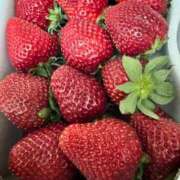 ヒメ日記 2025/04/25 15:31 投稿 ほのか 成田人妻最高級倶楽部