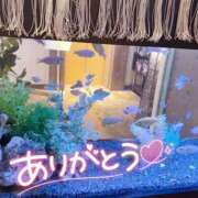 ヒメ日記 2025/05/21 22:31 投稿 ほのか 成田人妻最高級倶楽部