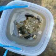 ヒメ日記 2025/07/27 13:46 投稿 ほのか 成田人妻最高級倶楽部