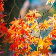 ヒメ日記 2025/11/26 09:45 投稿 ほのか 成田人妻最高級倶楽部