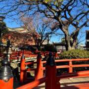 ヒメ日記 2025/12/13 09:45 投稿 ほのか 成田人妻最高級倶楽部