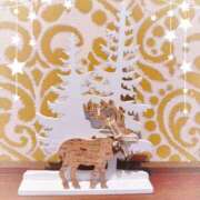 ヒメ日記 2025/12/20 21:15 投稿 ほのか 成田人妻最高級倶楽部