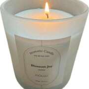 ヒメ日記 2026/03/21 23:02 投稿 ほのか 成田人妻最高級倶楽部