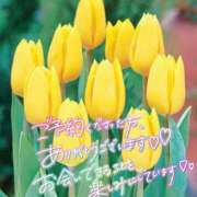 ヒメ日記 2026/03/28 09:31 投稿 ほのか 成田人妻最高級倶楽部