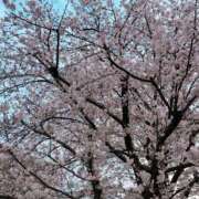 ヒメ日記 2026/03/31 19:45 投稿 ほのか 成田人妻最高級倶楽部