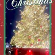 ヒメ日記 2024/12/22 23:31 投稿 さえこ 成田人妻最高級倶楽部