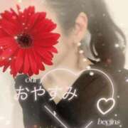 ヒメ日記 2025/01/25 01:13 投稿 さえこ 成田人妻最高級倶楽部