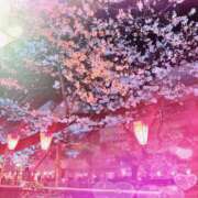 ヒメ日記 2025/04/02 00:11 投稿 さえこ 成田人妻最高級倶楽部