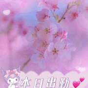 ヒメ日記 2025/04/07 11:51 投稿 さえこ 成田人妻最高級倶楽部