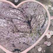 ヒメ日記 2025/04/08 23:18 投稿 さえこ 成田人妻最高級倶楽部