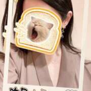 ヒメ日記 2025/05/10 10:02 投稿 さえこ 成田人妻最高級倶楽部