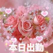 ヒメ日記 2025/05/15 12:30 投稿 さえこ 成田人妻最高級倶楽部