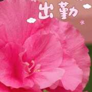 ヒメ日記 2025/06/19 10:04 投稿 さえこ 成田人妻最高級倶楽部