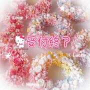 ヒメ日記 2025/06/19 14:19 投稿 さえこ 成田人妻最高級倶楽部