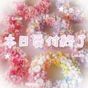 ヒメ日記 2025/06/23 10:41 投稿 さえこ 成田人妻最高級倶楽部