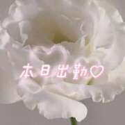 ヒメ日記 2025/07/13 10:38 投稿 さえこ 成田人妻最高級倶楽部