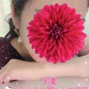 ヒメ日記 2025/07/20 12:19 投稿 さえこ 成田人妻最高級倶楽部