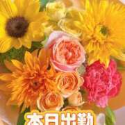 ヒメ日記 2025/08/01 11:11 投稿 さえこ 成田人妻最高級倶楽部