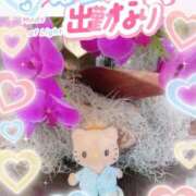 ヒメ日記 2025/08/24 11:15 投稿 さえこ 成田人妻最高級倶楽部