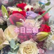 ヒメ日記 2025/09/24 11:17 投稿 さえこ 成田人妻最高級倶楽部