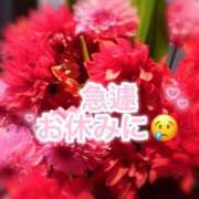 ヒメ日記 2025/09/28 14:01 投稿 さえこ 成田人妻最高級倶楽部