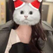 ヒメ日記 2025/12/20 02:53 投稿 さえこ 成田人妻最高級倶楽部