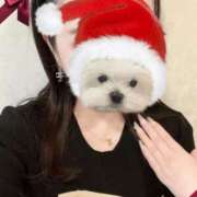 ヒメ日記 2025/12/23 01:33 投稿 さえこ 成田人妻最高級倶楽部