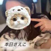 ヒメ日記 2026/01/30 02:23 投稿 さえこ 成田人妻最高級倶楽部