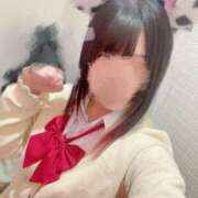 ヒメ日記 2025/01/11 08:45 投稿 るる みつらん鉄道