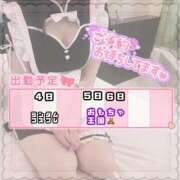 ヒメ日記 2025/03/02 10:45 投稿 るる みつらん鉄道