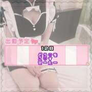 ヒメ日記 2025/03/08 11:54 投稿 るる みつらん鉄道