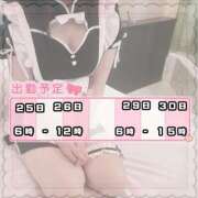 ヒメ日記 2025/03/23 11:30 投稿 るる みつらん鉄道