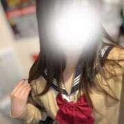 ヒメ日記 2025/11/17 11:34 投稿 るる みつらん鉄道