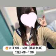 ヒメ日記 2025/11/17 14:20 投稿 るる みつらん鉄道