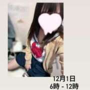 ヒメ日記 2025/11/29 19:45 投稿 るる みつらん鉄道