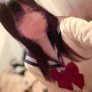 ヒメ日記 2026/01/19 16:00 投稿 るる みつらん鉄道