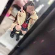 ヒメ日記 2026/02/17 08:24 投稿 るる みつらん鉄道