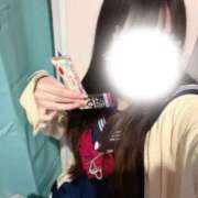 ヒメ日記 2026/02/23 12:44 投稿 るる みつらん鉄道