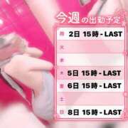 ヒメ日記 2026/02/23 18:30 投稿 るる みつらん鉄道