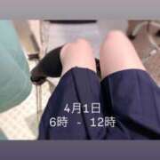 ヒメ日記 2026/03/30 13:15 投稿 るる みつらん鉄道