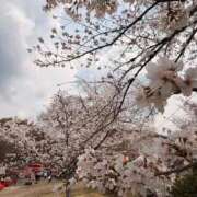 ヒメ日記 2026/04/01 10:07 投稿 るる みつらん鉄道