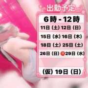 ヒメ日記 2026/04/09 18:45 投稿 るる みつらん鉄道