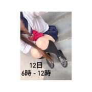 ヒメ日記 2026/07/11 14:04 投稿 るる みつらん鉄道