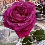 ヒメ日記 2025/06/21 00:58 投稿 本田 沙央梨 Club 麗花