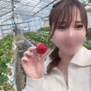 ヒメ日記 2025/04/24 13:54 投稿 里美ゆあ 五反田ウルトラファンタジー