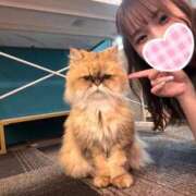 ヒメ日記 2026/06/22 15:27 投稿 里美ゆあ 五反田ウルトラファンタジー